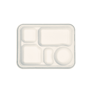 5 compartments bagasse tray