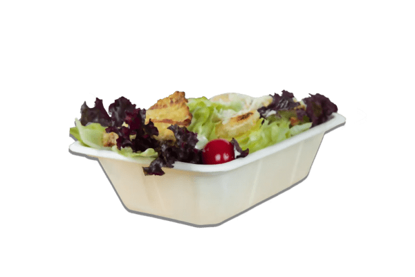 bagasse food tray